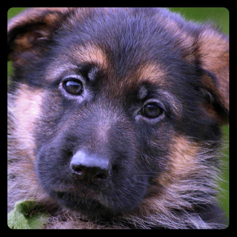 Make bundles. Great deals for you. Make an offer! ☺️